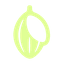 Caccao